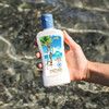 Panama Jack Sunscreen Lotion MultiPacks Pack of 1 SPF 50