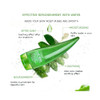 DISAAR BEAUTY Aloe Vera Gel 99 Soothing and Moisturizing Gel Oil Control Acne Aftersun Repair 260ml