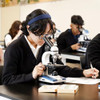 AmScope M150C M150CI 40X1000X AllMetal Optical Glass Lenses Cordless LED Student Biological Compound Microscope