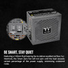 Thermaltake GF1 Fully Modular ATX 750W Power Supply 80 Plus Gold Ultra Quiet Zero RPM PSTPD0750FNFAGUP