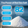 H2Ocean Healing Rinse Mouthwash- Great Tasting Sea Salt & Xylitol Mouth Wash for Fresh Breath & Dry Mouth & Tonsil Stones - Alcohol & Fluoride Free -