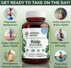 Natural Nutra Kelp Iodine with Potassium Iodide - Thyroid Support Supplement - Immune Strength & Metabolism Balance - Vegan Sea Kelp for Wellness - 2 online at globaldelivered