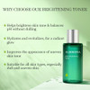 Aloderma Aloe Brightening Face Toner Made with Organic Aloe Vera Juice  - 4.2oz