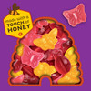 Annies Organic Bees Bugs and Butterflies Fruit Flavored Snacks 10 Pouches 7 oz