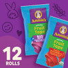Annies Organic Fruit Tape Swirly Strawberry and Bendy Berry Gluten Free Variety Pack 12 Rolls 9 oz