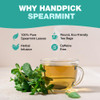 HANDPICK Spearmint Tea Bags 100 Herbal Tea Bags Refreshing Mint Tea NonGMO Round EcoConscious Teabags