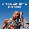 Propel Electrolyte Enhanced Water Sports Drink Lemon Flavored Water Zero Calorie Zero Sugar Hydration with Electrolytes