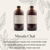 Dona Original Masala Chai Concentrate SmallBatch SingleOrigin Spices Hot or Iced Chai 16 Fl Ounce Bottles Pack of 2 Stan