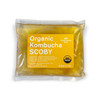 100 Organic SCOBY Kombucha Starter Kit 100 Guaranteed to Brew Fresh Live Culture with Starter Liquid The Kombucha Shop