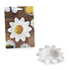 Peleg Design Daisy Plastic Egg Separator Egg White Yolk Divider Kitchen Gadgets Baking Tools Egg Extractor Cute Flower D