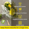 Chrysal Flower Boost Clear Flower Food Packets for Flower Arrangements Bouquets Floral Supplies for Fresh Flowers Fresh