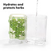 OXO Good Grips GreenSaver Herb Keeper 18 QT