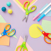 Blunt Tip Scissors Classroom Bulk Set for Crafts Student DIY Art Projects and Teacher Supplies 5Inch ChildFriendly Sciss