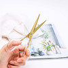AxeWoodz Gold Acrylic Scissors 65 Inch Office Scissors Stainless Steel Blade All Purpose 1 Count