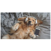 Blueangle Golden Retriever Dog 3 Ring Binder 15 Inch Clipboard Binders with 2 Pockets Decorative 3 Ring Binder for Offic