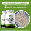 Natural Foundation Supplements Lactobacillus Crispatus Probiotic Supplement 240 Tablets 3 Billion CFU Probiotics for Women Supports Vaginal Digestive