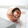 Rose Gold Paper Clip Holder Magnetic Paper Clips Dispenser with 100pcs Paperclips for Desk Office School Home Organizers