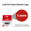 Canon PG-245 XL / CL-246 XL Genuine Ink Value Pack 2 Cartridges, Compatible with iP2820