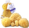 Constantia Beauty Real Natural Sea Sponges 5pc Spa Gift Set