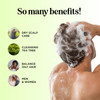 Clarifying Shampoo for Build Up & Oily Hair - Tea Tree Shampoo for Men and Women with Rosemary