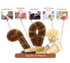 Ecozoi Bamboo Dish Brush Set 6 Piece for Vegetable and Kitchen Dish Cleaning Sisal and Coconut