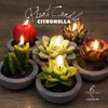 DarkSteve Decorative Citronella Plant Candle Collection - 6 pcs Cactus Candles Succulent Candles