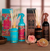 Tesori D Oriente Reed Diffuser Set Hammam Scented with 8 Sticks 200ml 6.76oz