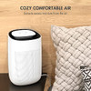 Tenergy Sorbi 1000ml Air Dehumidifier w Purifying Function True HEPA Filter Auto Shutoff Touch