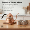 Barista Warrior Gooseneck Kettle with Thermometer - 1.2L Pour Over Coffee and Tea Kettle Copper