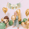 Sage Green One High Chair Banner - Simple 1st Birthday Party Decorations