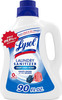 Lysol Laundry Sanitizer Additive, Bacteria-Causing Laundry Odor Eliminator, Detergent Additive