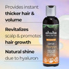 ahuhu Coffein Thickening Shampoo (6.76 fl. oz)