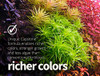2HR Aquarist All in one Aquarium Plant Fertilizers APT 3 Complete 1000ml