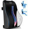 ComfiLife Lumbar Support Pillow for Office Chair Premium Memory Foam Lumbar Pillow Back Support for Office Chair Car