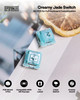 EPOMAKER Creamy Jade 45gf Gaming Keyboard Switches 100 PCS Linear Switch 5 Pin Pre Lubed Switch with PC PA66 Case POK