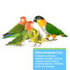 Hagen Tropican Lifetime Formula Parrot Food 4 lb