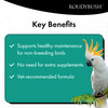 RoudyBush Daily Maintenance Food for Birds Scientifically Formulated Bird Feed Bird Food Pellets w Corn Wheat Soy More