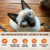 Wellness CORE Tiny Tasters Pate Variety Pack Adult Wet Cat Food Natural Protein Rich Grain Free Land Recipes 1 75 oz