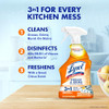 Lysol All Purpose Kitchen Cleaner Spray, For Grease & Grime, Citrus, 22 oz