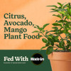 Miracle-Gro Shake N Feed Citrus, Avocado, Mango Plant Food - Fertilizer for Container and In-Ground Plants, Citrus,