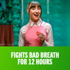 TheraBreath Fresh Breath Mouthwash, Mild Mint Flavor, Alcohol-Free, 16 Fl Oz 2-Pack