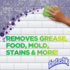 Fantastik All Purpose Cleaner with Bleach, Removes Grease & Mold, 32 oz