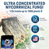 Great White Mycorrhizal Fungi 4 oz, Beneficial Bacteria for Plant Growth, Root Stimulator, Concentrated 3-in-1 Formula