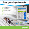 Syngenta Advion Ant Gel 4 tubes 30 grams each