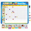 Kids Responsibility Reward Chart - Magnetic Board - 63 Chores Chore Chart