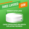 TheraBreath Fresh Breath Chewing Gum with ZINC, Citrus Mint Flavor, 10 Count Pack of 6