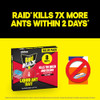 Raid MAX Liquid Ant Killer Baits, Indoor & Outdoor Use, 8 Count