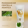 SKIN1004 Centella Soothing Cream, Face Moisturizer with Centella Asiatica, Korean Centella Moisturizer Cream for