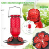 FEED GARDEN Glass Hummingbird Feeder for Outdoors Hanging, 16 oz Leak-Proof Nectar Feeder with Bee Guards & Ant Moat, 4