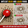 Catchmaster Defiant Liquid Ant Killer & Bait, Sugar Ant Traps Indoor
